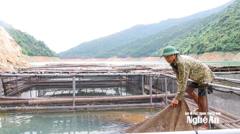 Mô hình nuôi cá lồng ở Yên Na. Ảnh ĐT