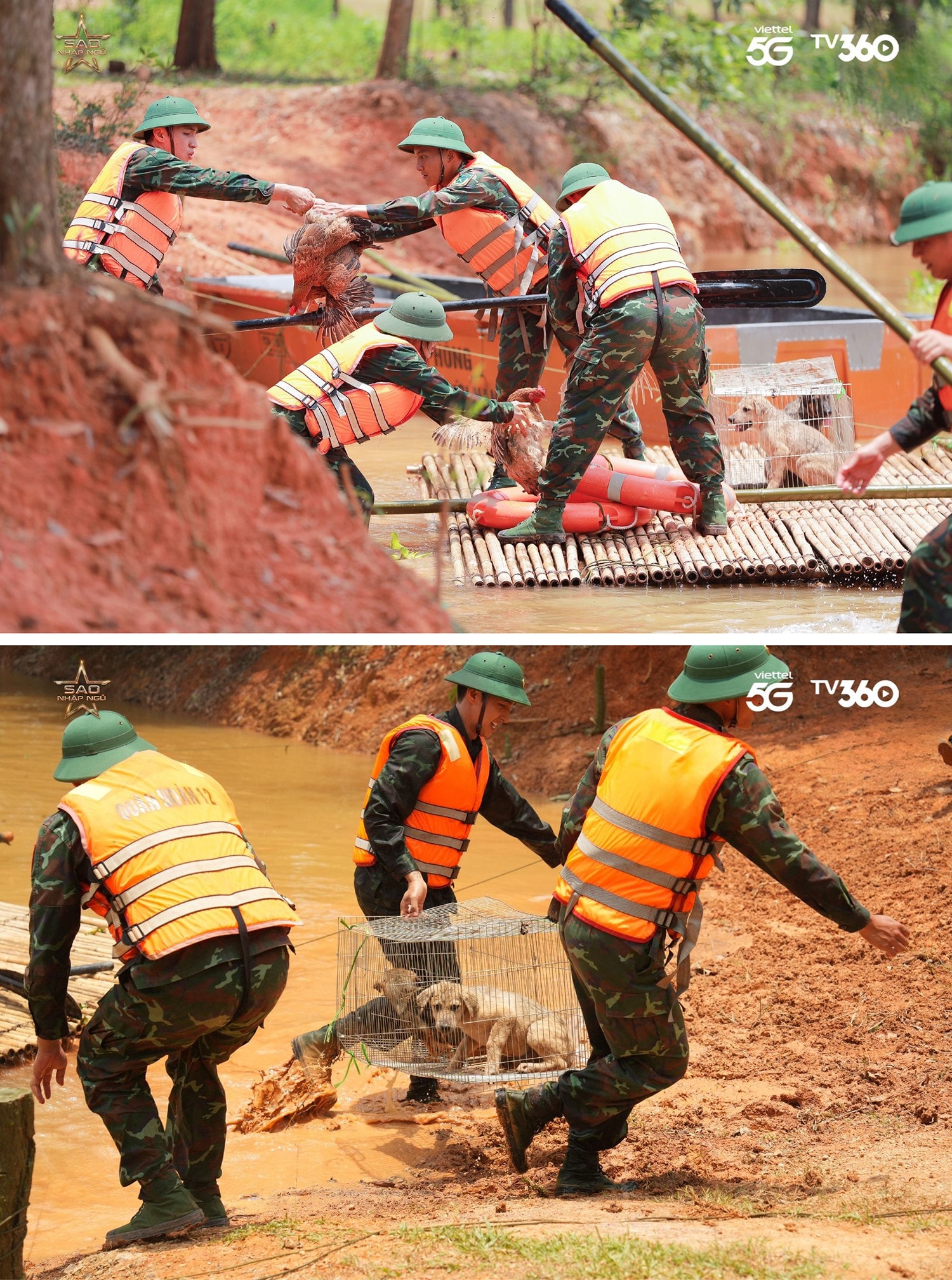 A2 Sao Nhập Ngũ.jpg