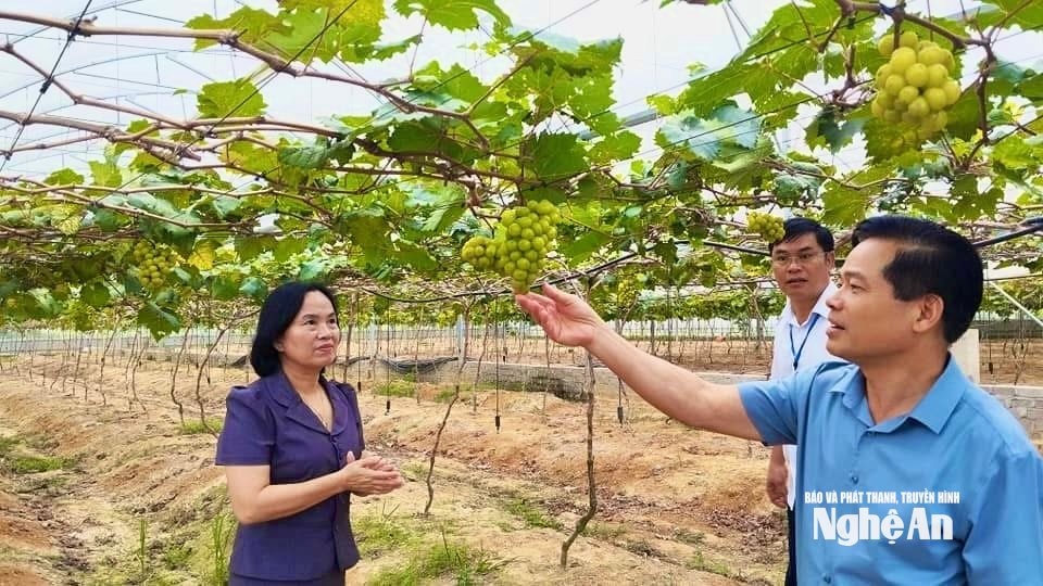 Lãnh đạo Sở Nông nghiệp và Môi trường tỉnh kiểm tra các mô hình nông thôn mới tiêu biểu. Ảnh Trân Châu