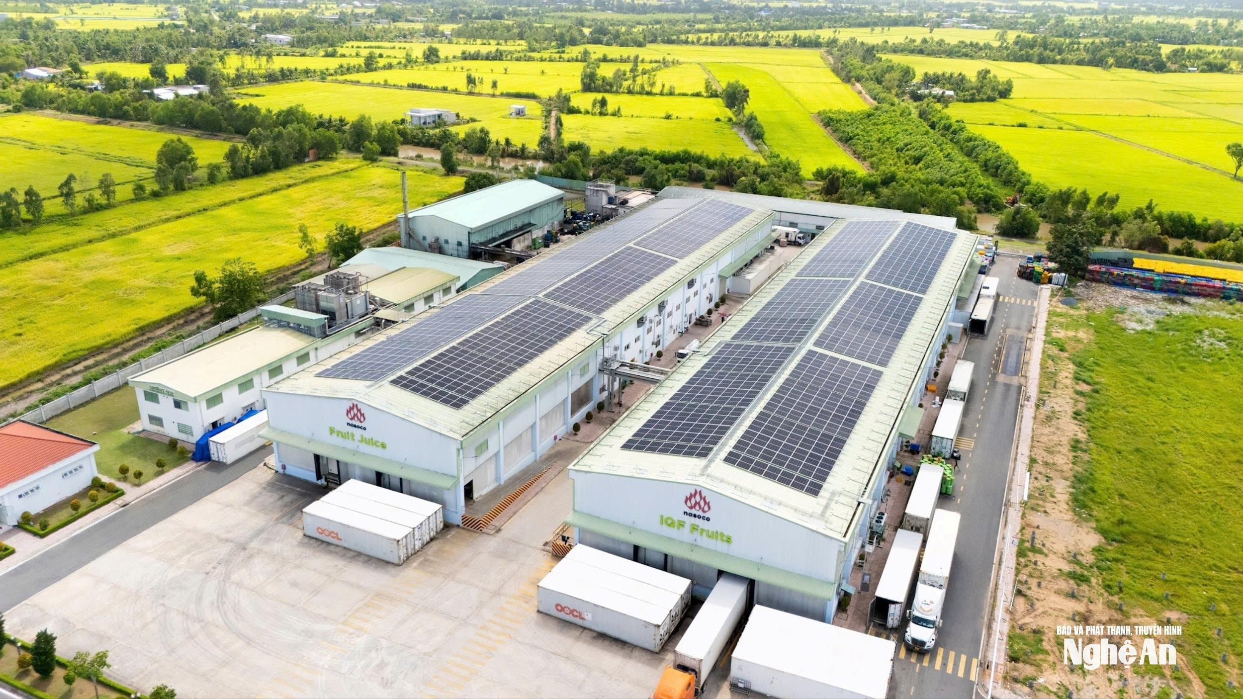 Nafoods Group ghi nhận doanh thu, lợi nhuận tăng mạnh trong quý II-2025 và 6 tháng đầu năm. Ảnh P.V