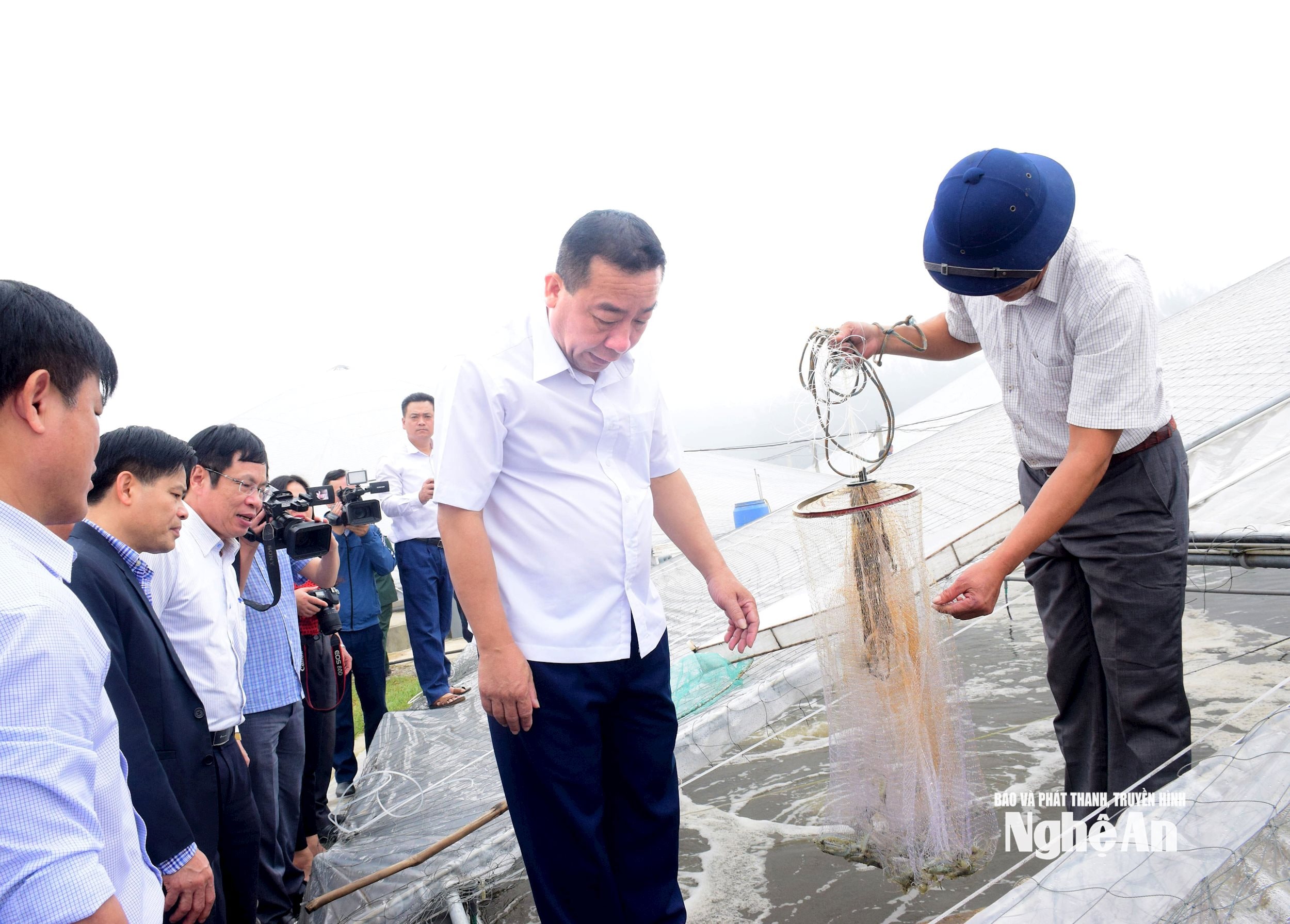 Đồng chí Nguyễn Văn Đệ - Phó Chủ tịch UBND tỉnh tham quan mô hình nuôi tôm áp dụng công nghệ cao ở xã Diễn Trung, huyện Diễn Châu. Ảnh Xuân Hoàng