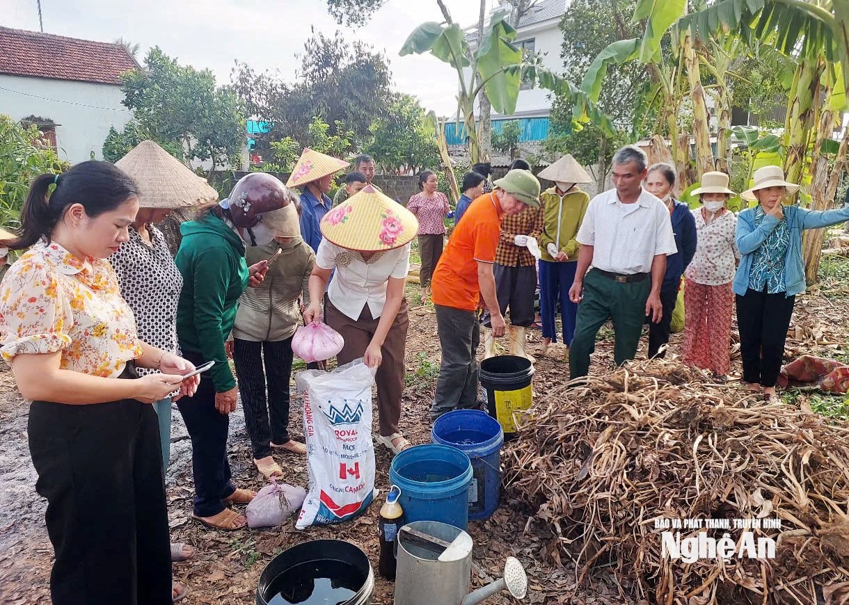 Nông dân Nghĩa Đàn ủ phân hữu cơ vi sinh từ phụ phẩm nông nghiệp. Ảnh T.P