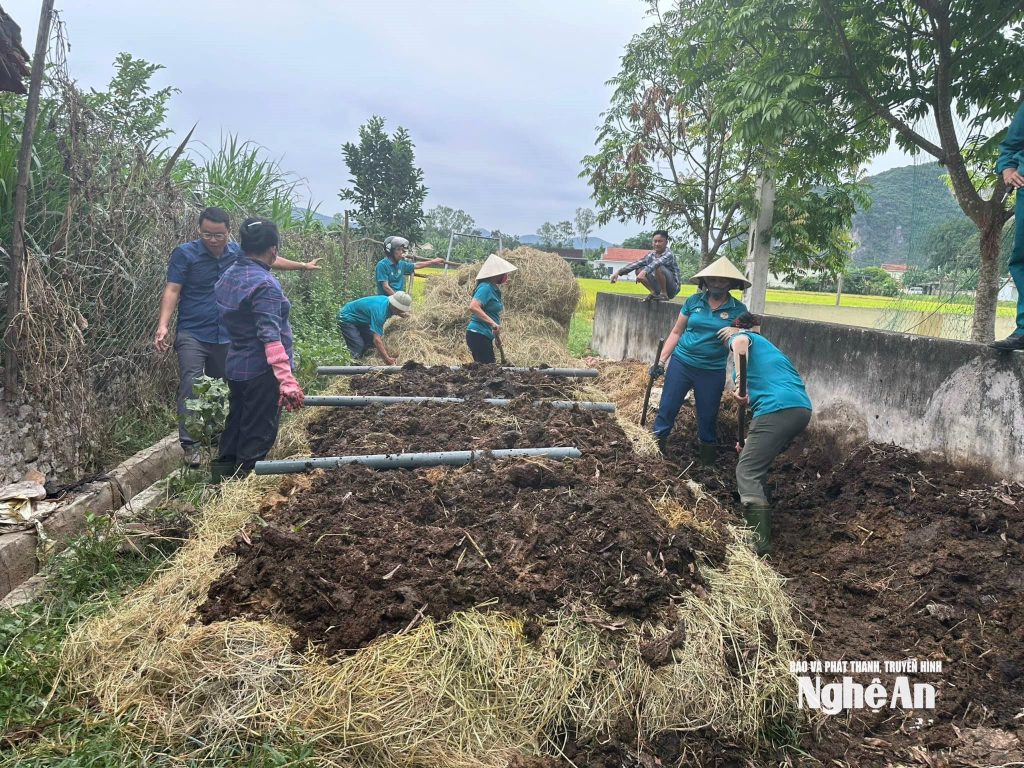 Nông dân Yên Thành ủ phân hữu cơ vi sinh từ rơm rạ. Ảnh T.P