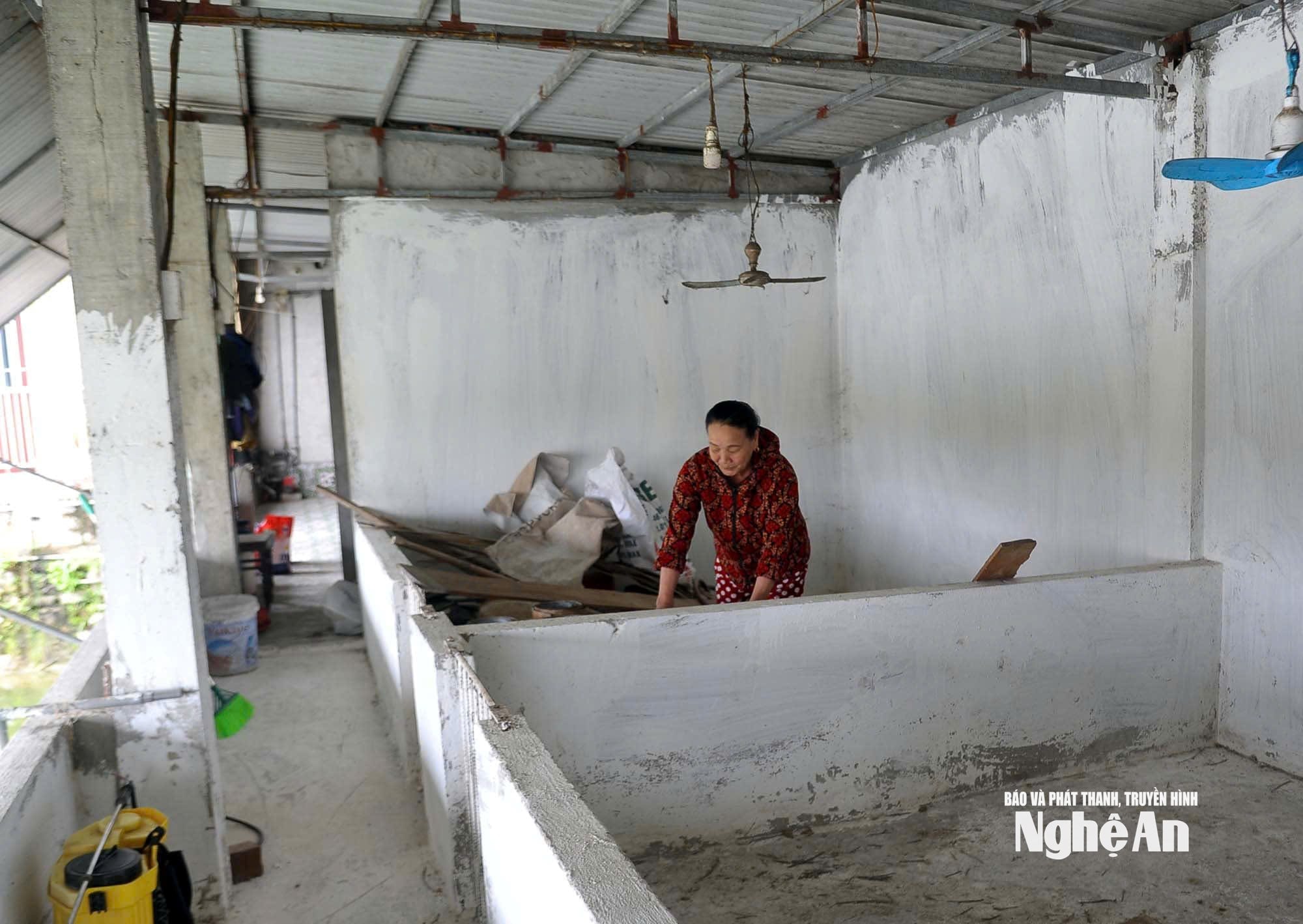 عکس آغل خالی خوک