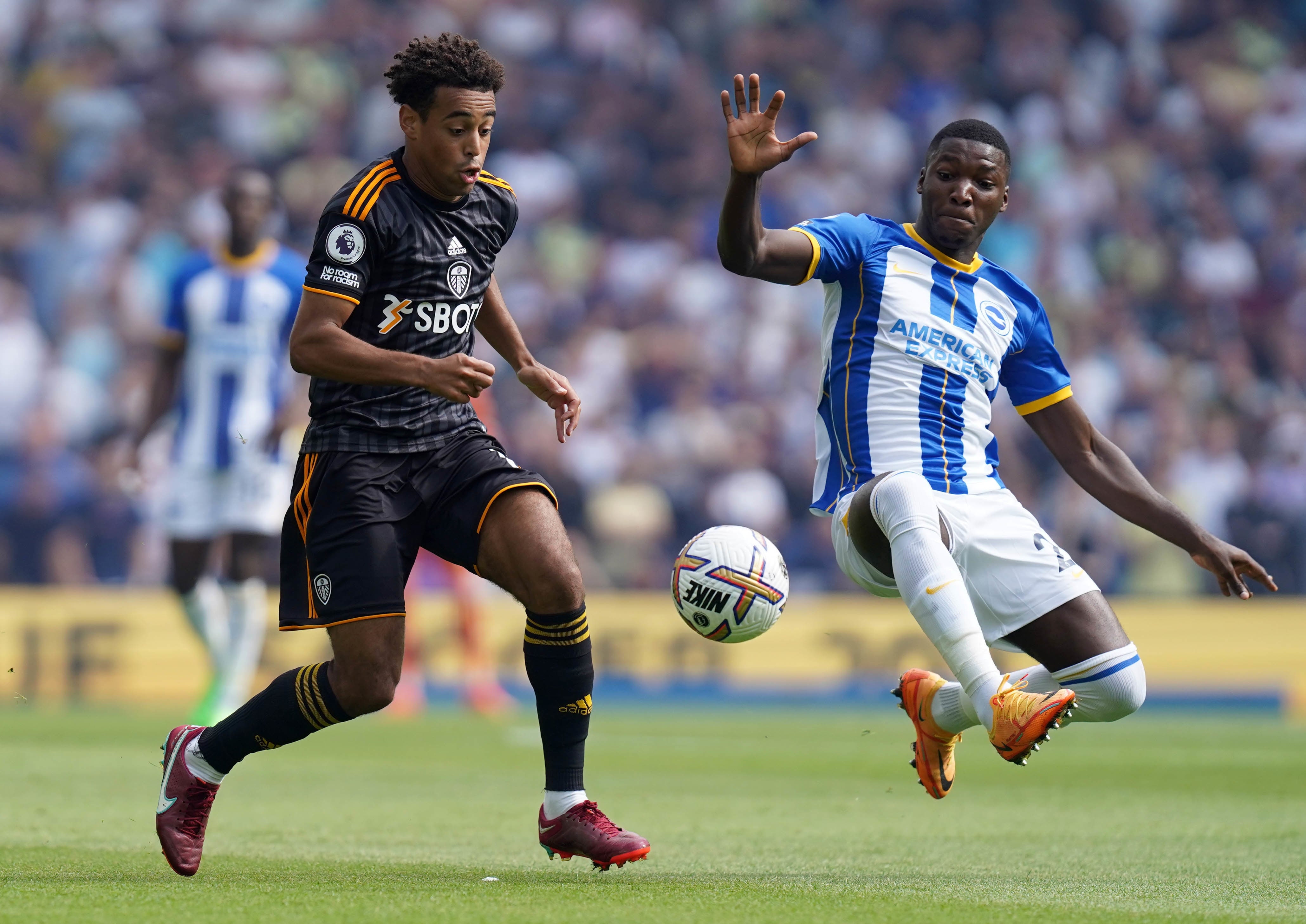 Brighton & Hove Albion vs Leeds United LIVE: Premier League result, final score and reaction | The Independent