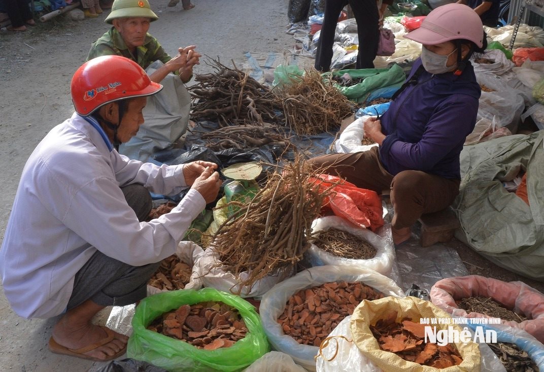 Tại một số chợ ở miền núi Nghệ An bày bán các loại rễ cây ngâm rượu. Ảnh: Văn Tru