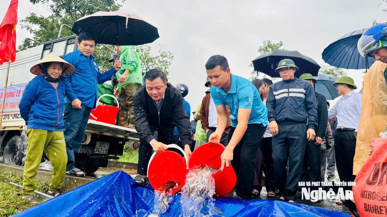 ການ​ປ່ອຍ​ປາ (4​)