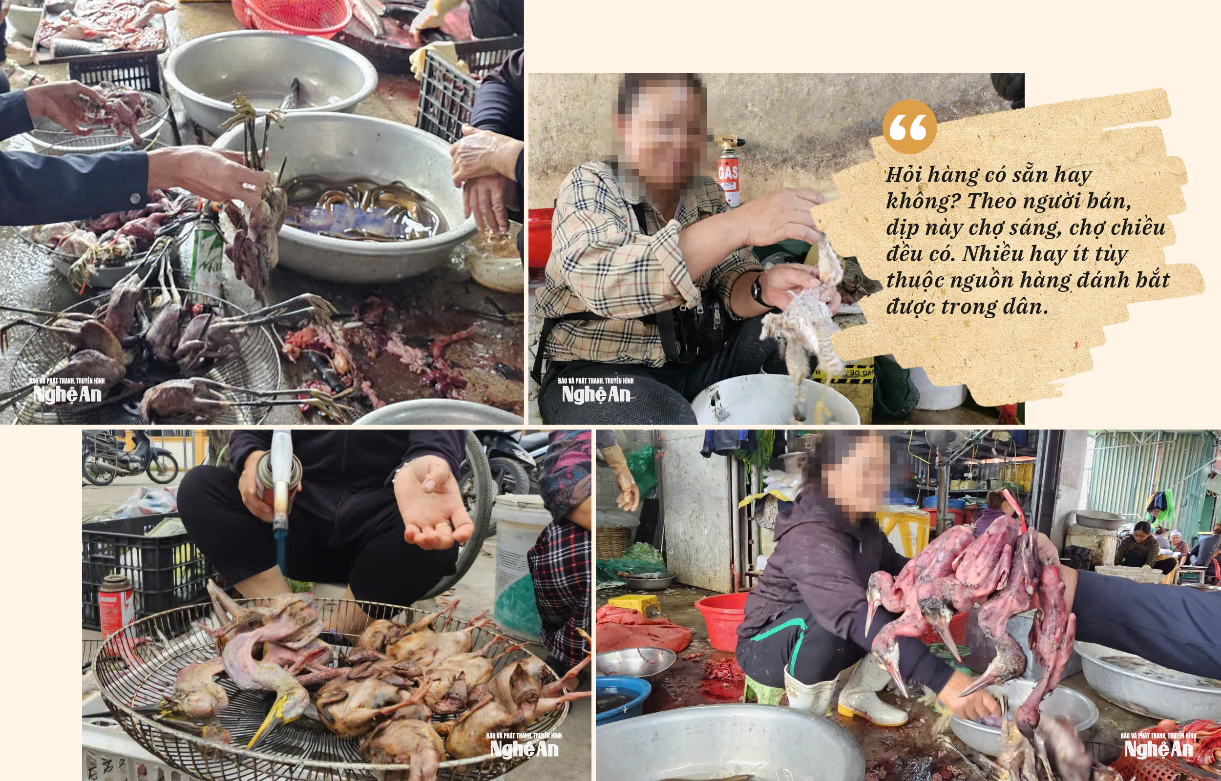 Chim trời bày bán tại chợ