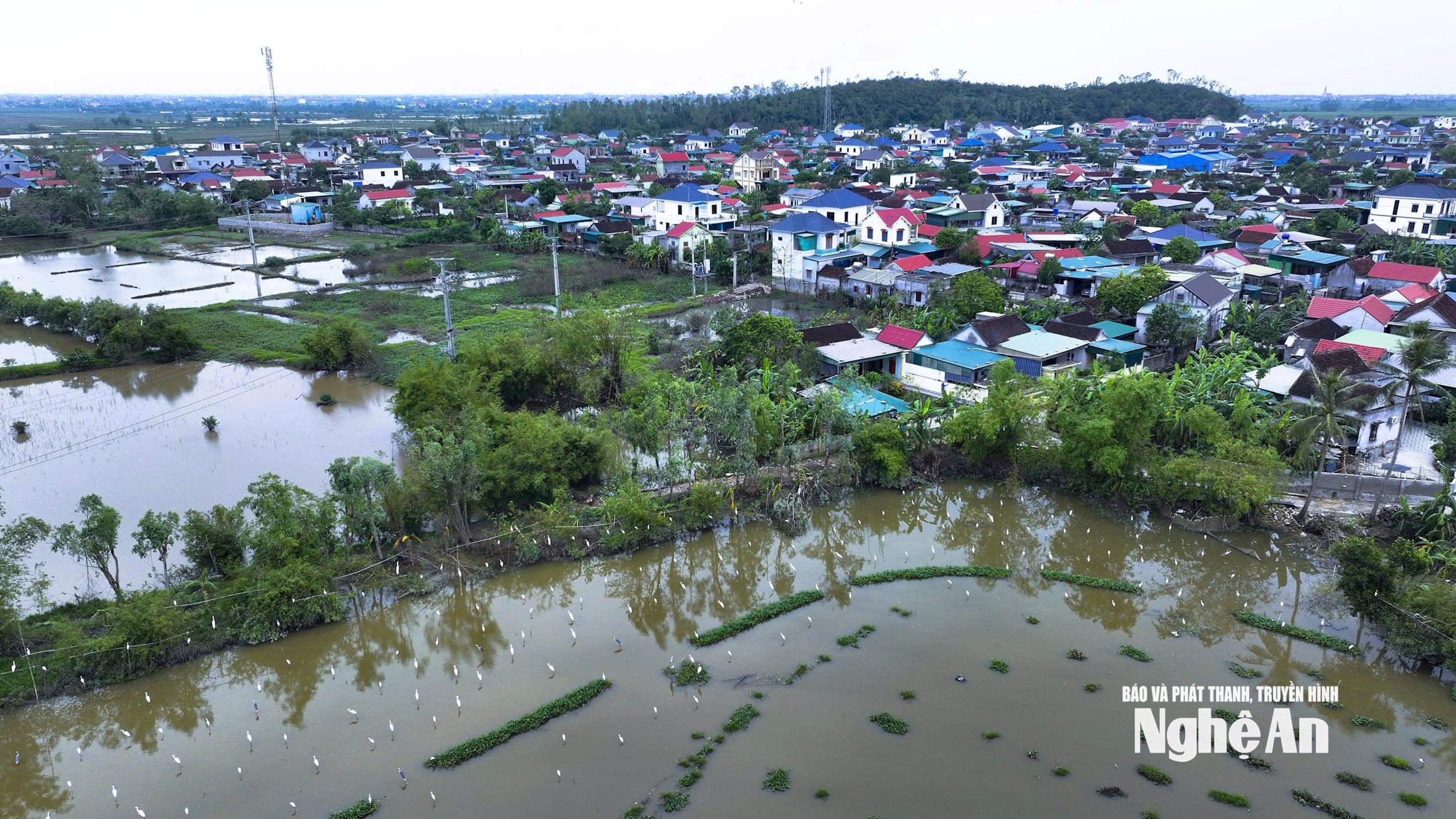 Khu vực thuộc xã Diễn Thọ cũ (nay xã Tân Châu) có nhiều điểm đặt bẫy đánh bắt chim trời.