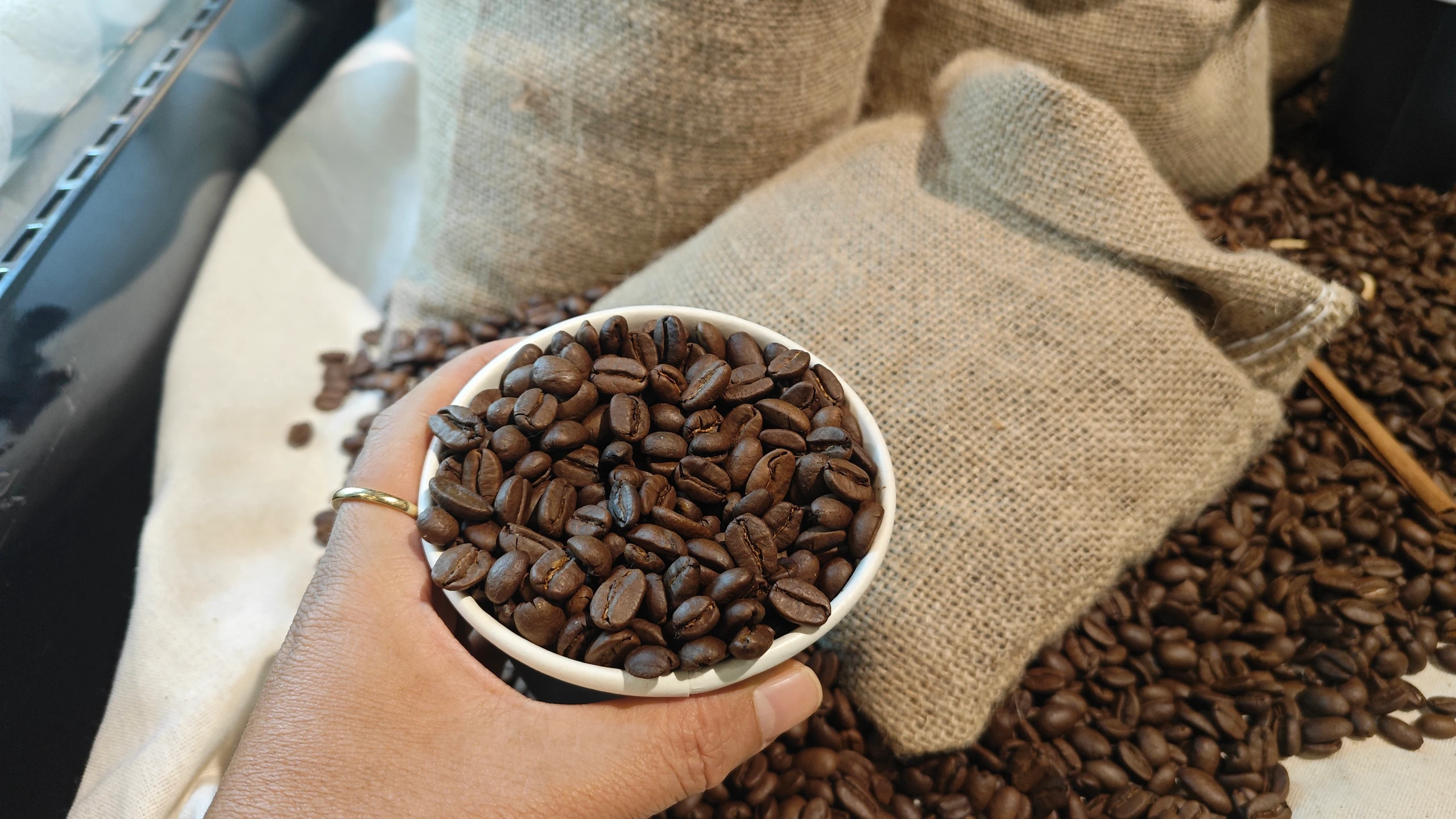 តម្លៃកាហ្វេថ្ងៃនេះ ថ្ងៃទី 5 ខែវិច្ឆិកា ឆ្នាំ 2025៖ ការកើនឡើងយ៉ាងខ្លាំង គម្លាតនៃការនាំចេញកាហ្វេ