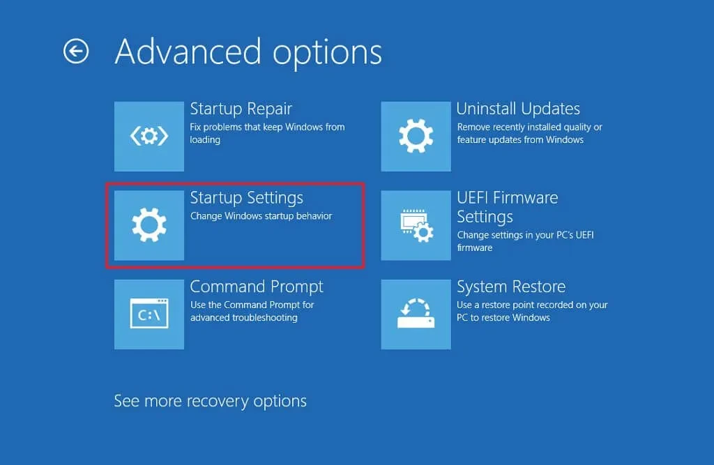 Màn hình tùy chọn trong Môi trường Khôi phục Windows.