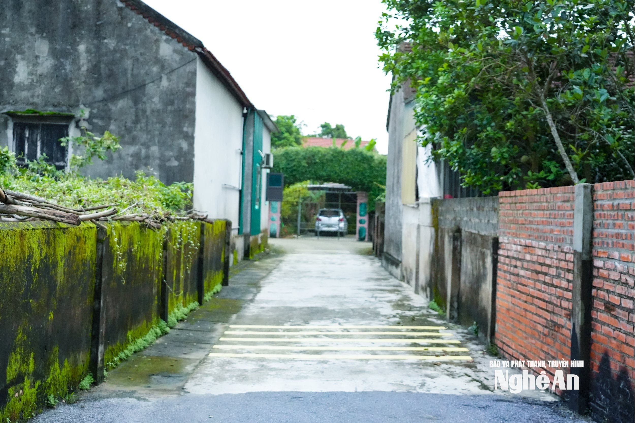 Các tuyến Đường lối ở xóm 6 Tân Sơn xã Văn Hiến được đổ bê tông sạch đẹp song vẫn giữ được những hàng rào xanh.