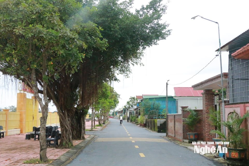 Đường làng xanh sạch đẹp ở xóm Tân Sơn 6 xã Văn Hiến, Ảnh KL