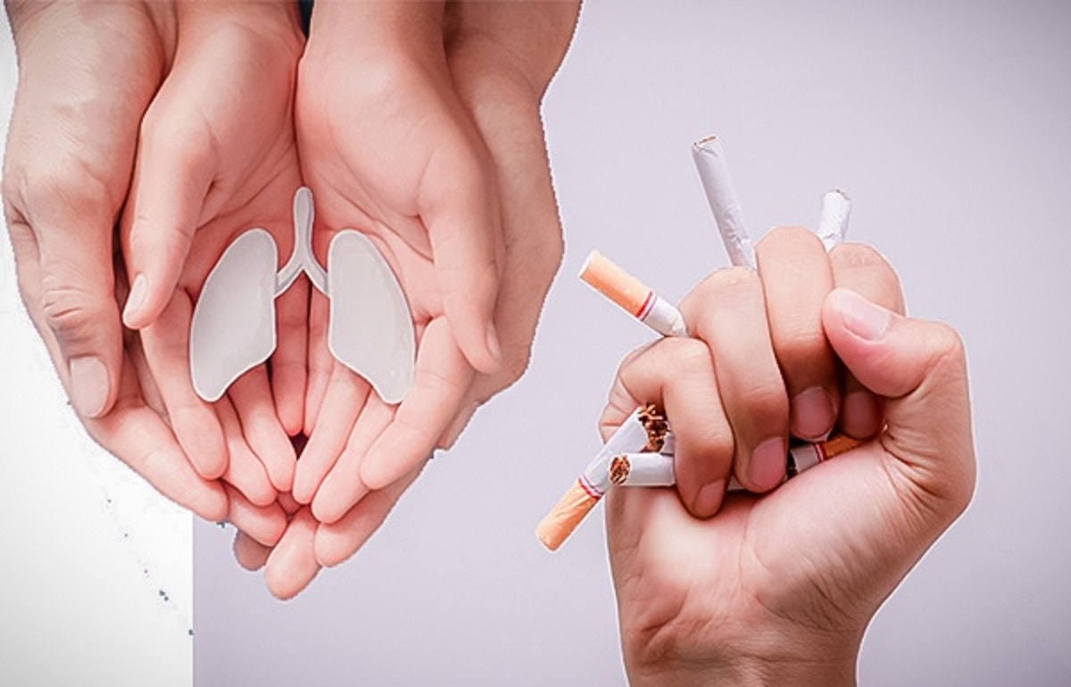 cai-thuoc-la-bang-nhi-cham-1-1753845009852953204481 copy