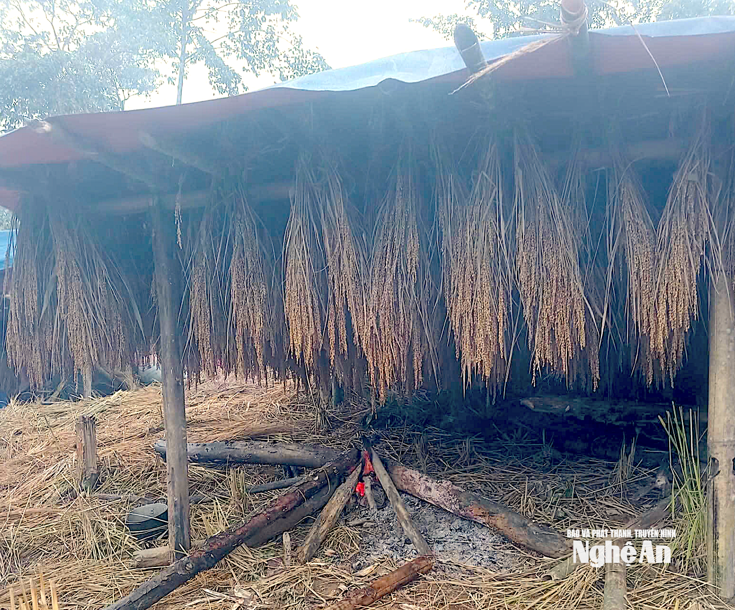 Ảnh màn hình 2025-11-12 lúc 09.26.18