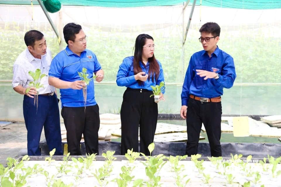 Đại diện Tỉnh đoàn Nghệ An tại mô hình sản xuất nông nghiệp ứng dụng công nghệ cao của thanh niên Nguyễn Văn Đạt (SN 1992) xóm 2, xã Hưng Nguyên Nam.