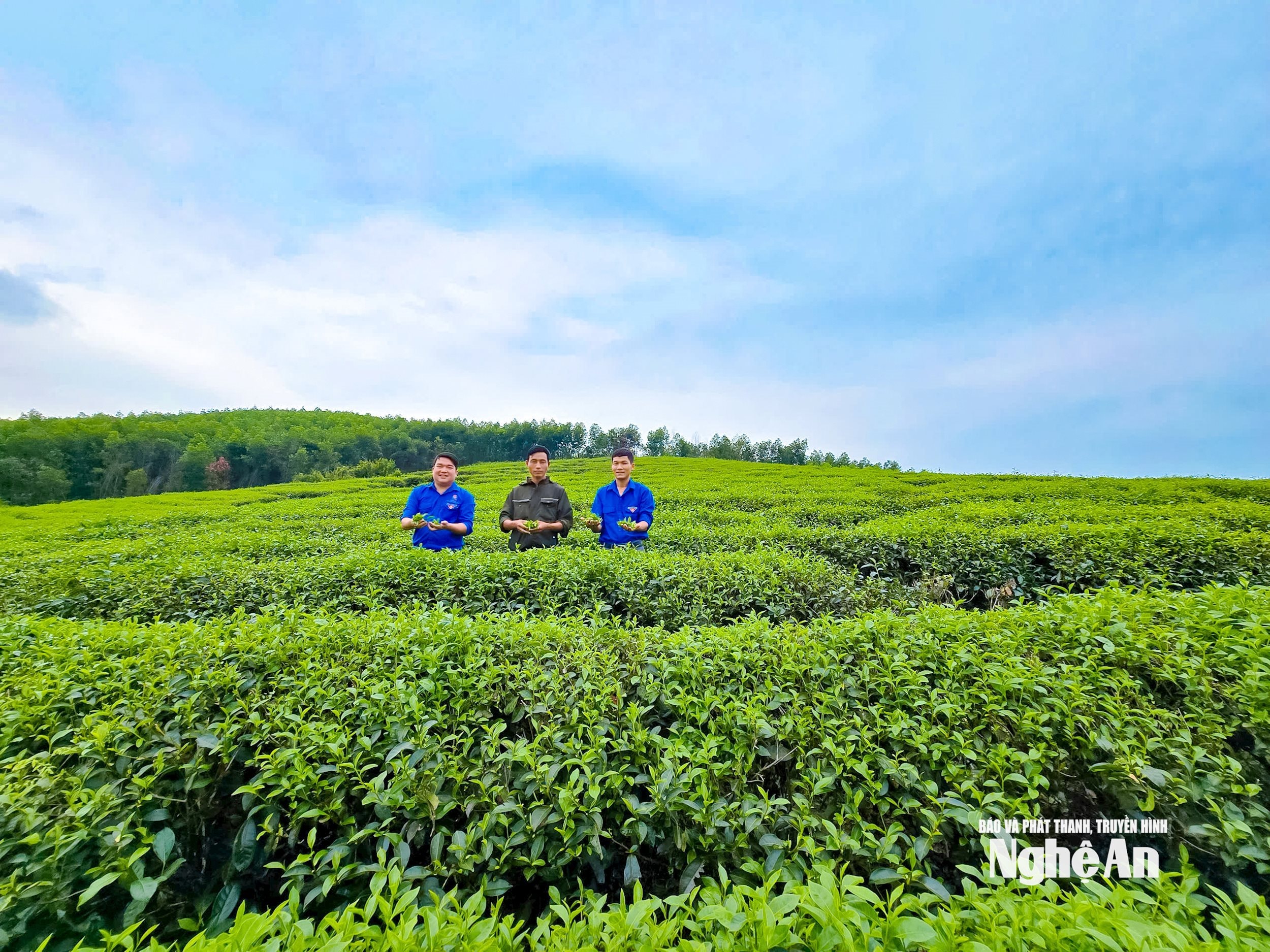 Mô hình kinh tế của anh Nguyễn Văn Luật (SN 1994, giữa ảnh) tại Cồn Nến, xóm Hòa Sơn, xã Kim Bảng. Ảnh Thanh Quỳnh