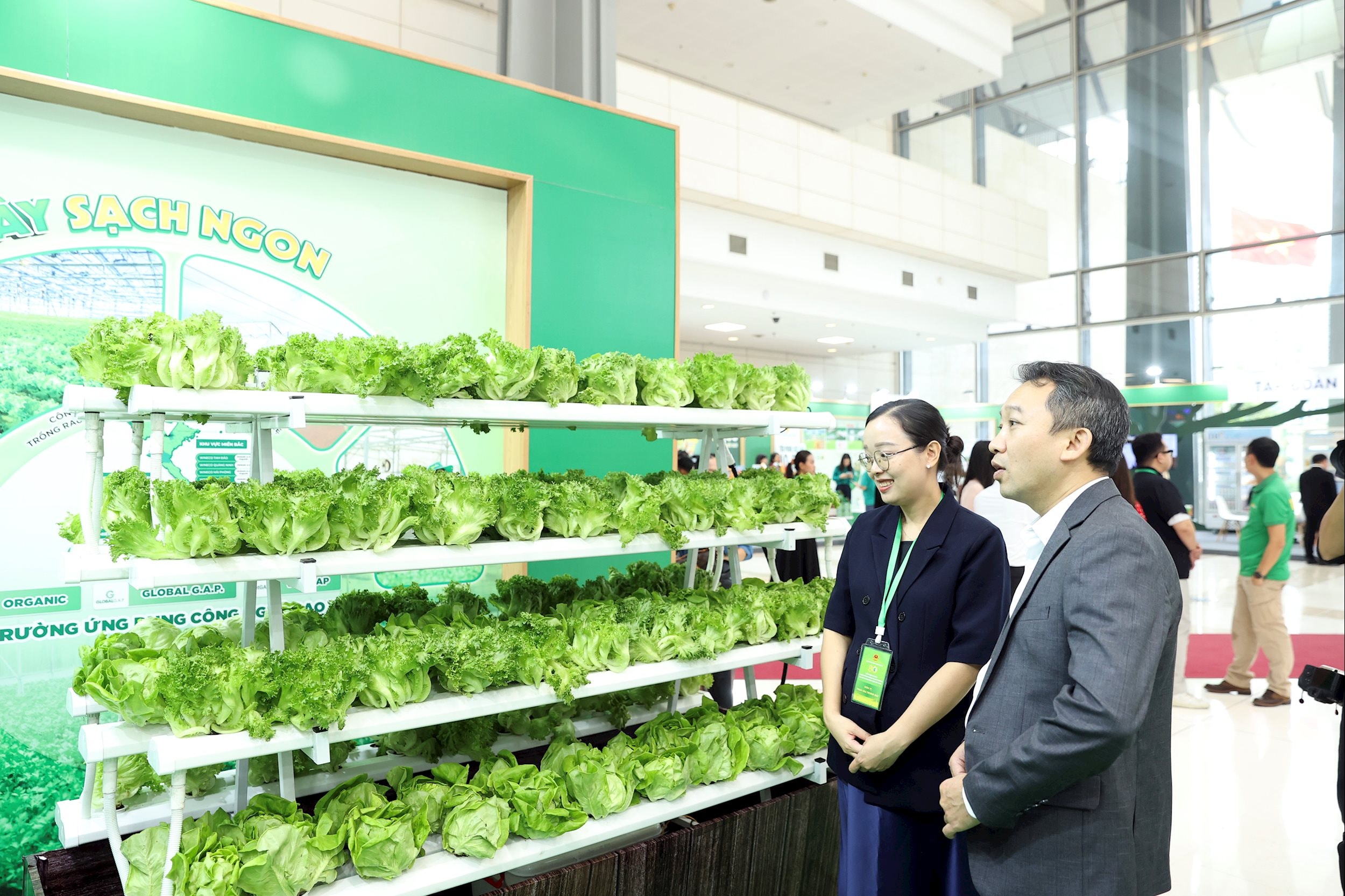 Khách hàng tham quan mô hình xà lách thủy canh của WinEco tại triển lãm 80 năm ngành Nông nghiệp và Môi trường