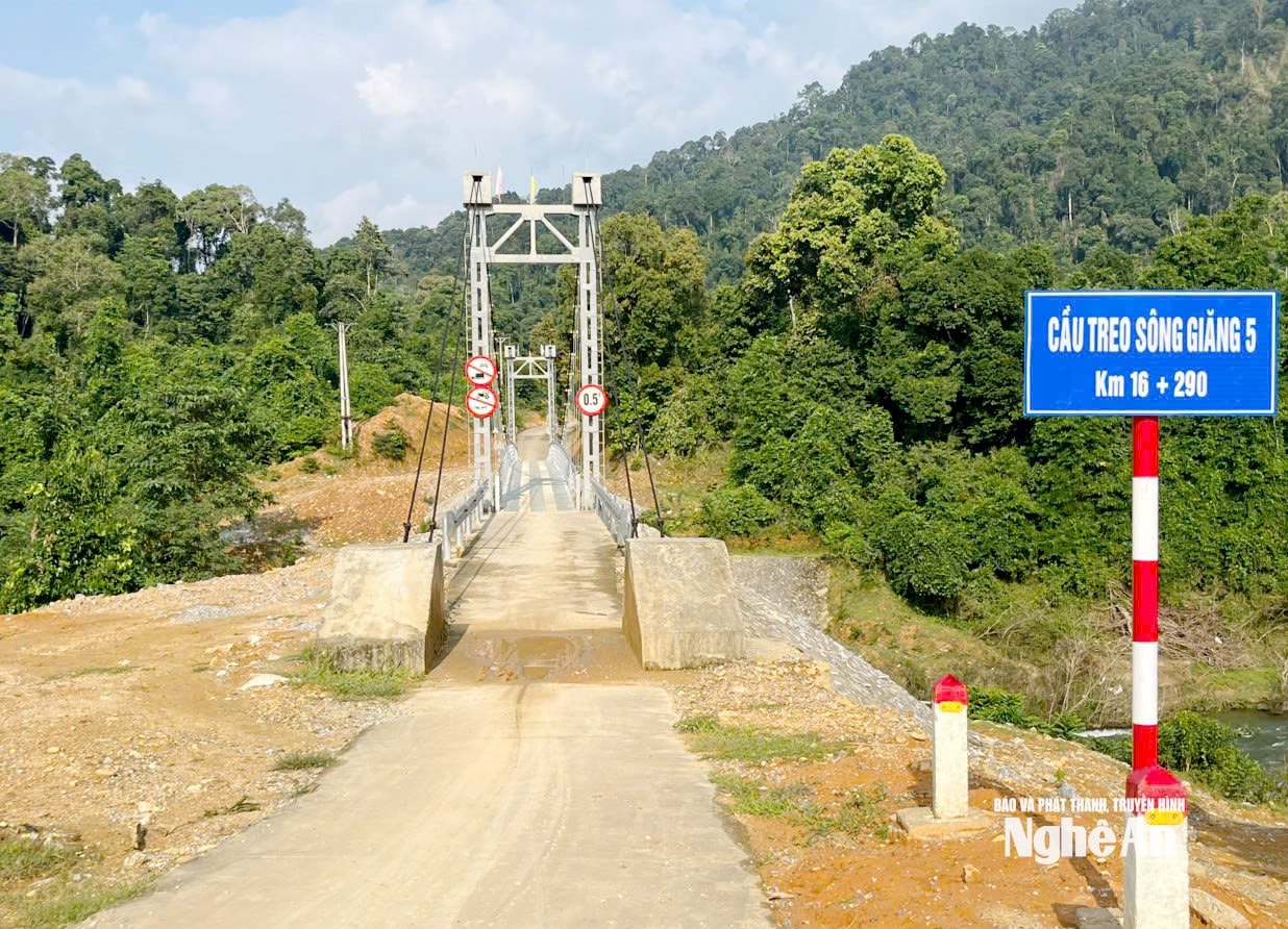 1 hengende betelnøtt