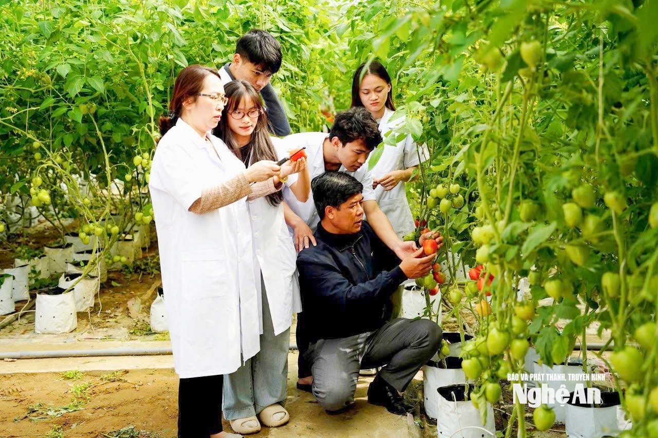 Hoạt động thực hành của sinh viên...