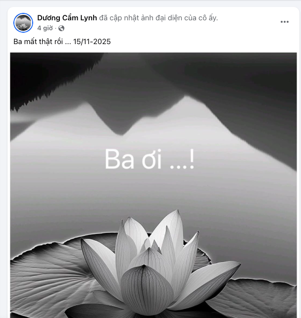 Nhiều nghệ sĩ Việt gửi lời chia buồn tới Dương Cẩm Lynh và gia đình.