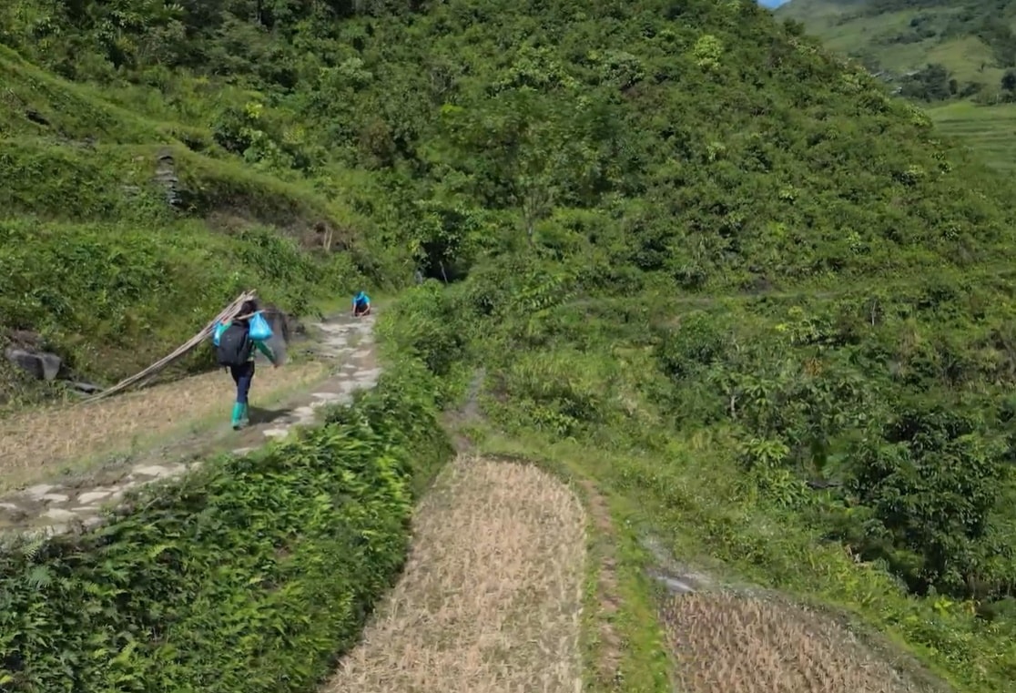 TRỰC TIẾP chương trình 'Thay lời tri ân 2025' trên VTV1- Ảnh 1.