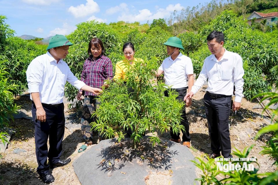 Cán bộ xã Yên Trung kiểm tra mô hình kinh tế trên địa bàn. Ảnh: Thanh Lê