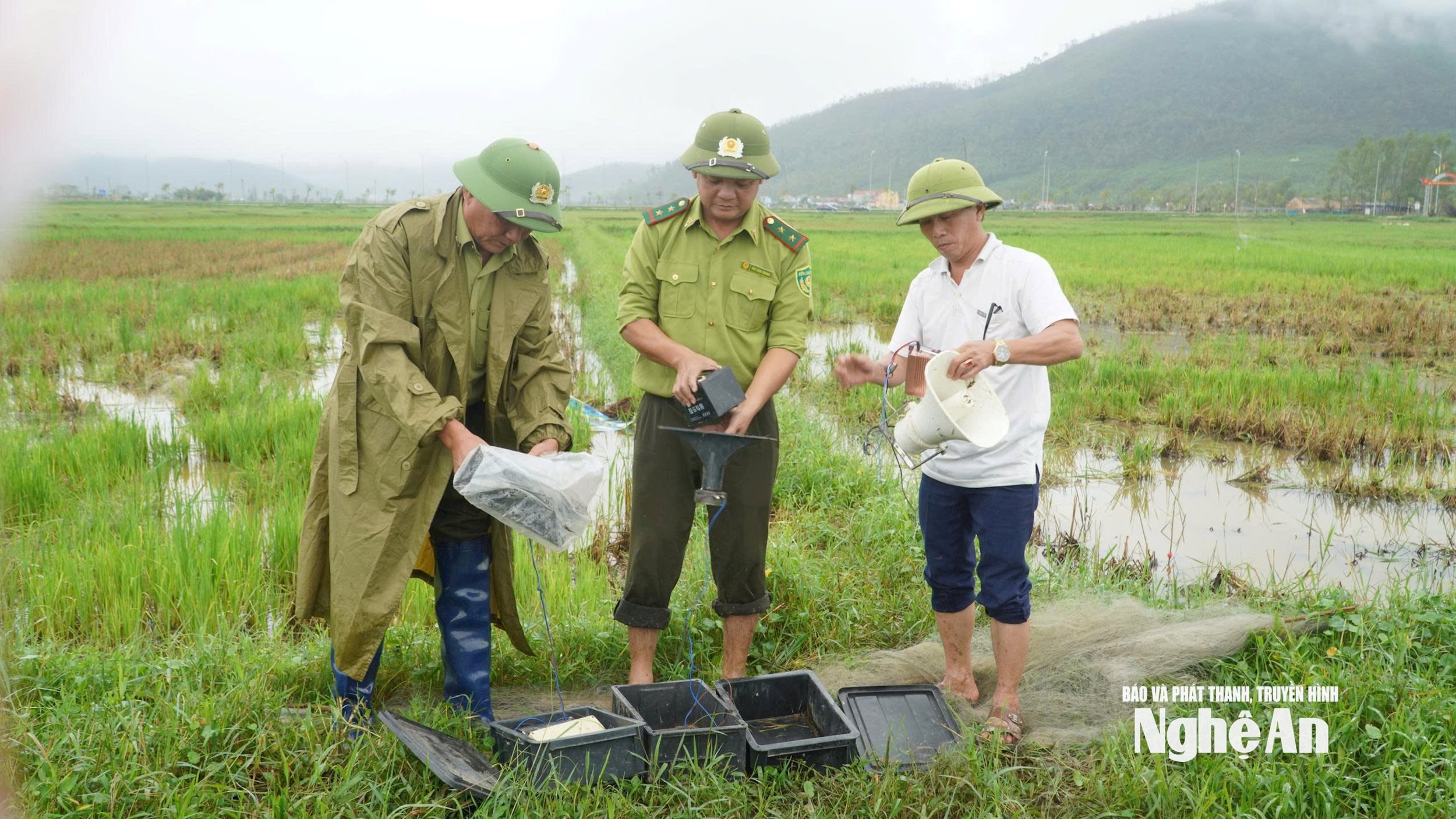 Nghệ An: Trong 1 tháng tiêu hủy gần 21.500m lưới bẫy đánh bắt chim trời