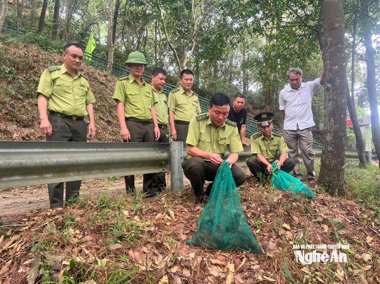 Đội Kiểm lâm cơ động và PCCCR số 1 sau khi thực hiện chuyên án, thu giữ 10 con sóc bông đã tổ chức thả về môi trường tự nhiên tại núi Dũng Quyết. Ảnh: Nguyễn Hải Đăng