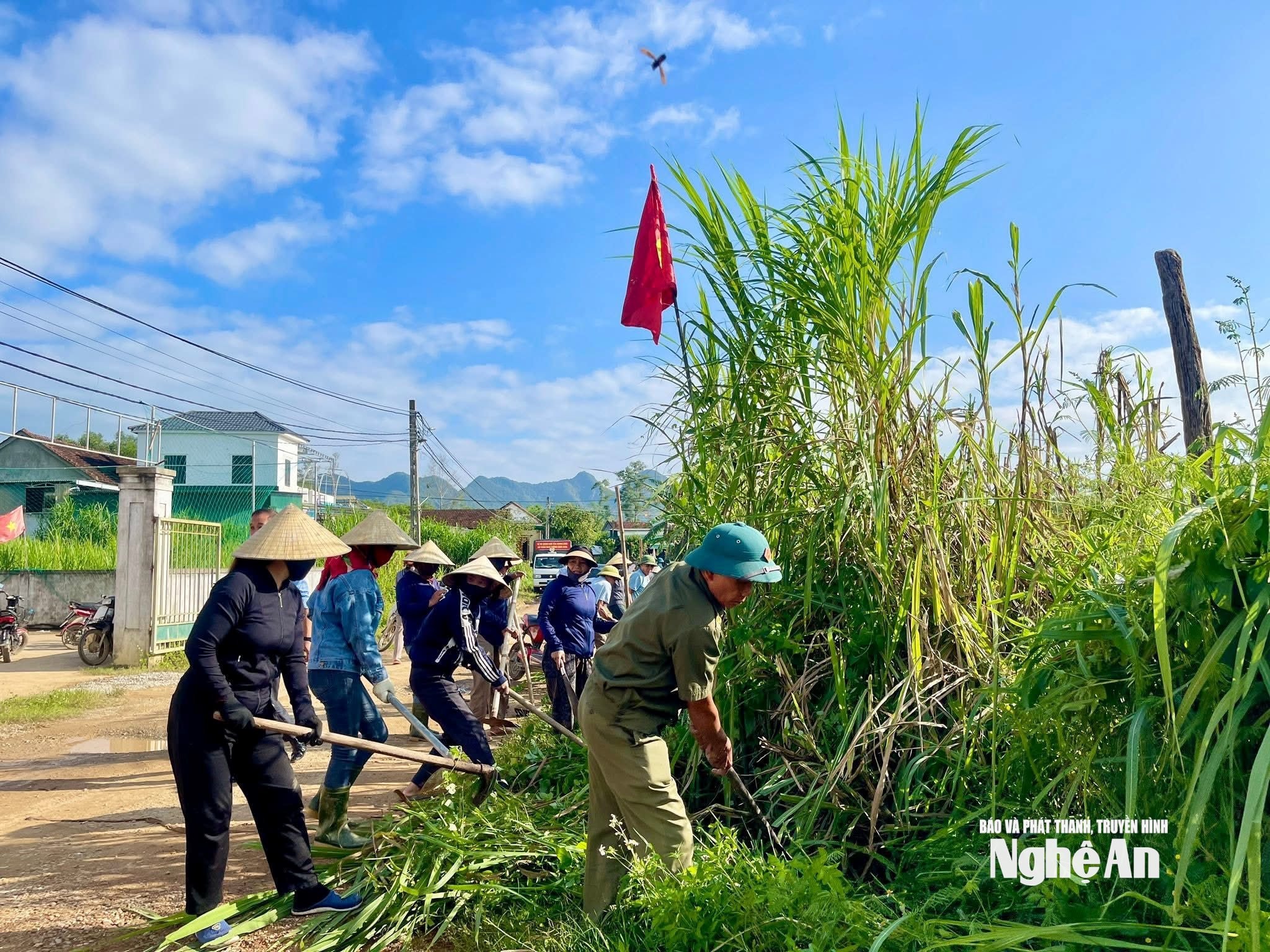 Nghia Hanh សាមគ្គីភាព រូបថត CSCC00005