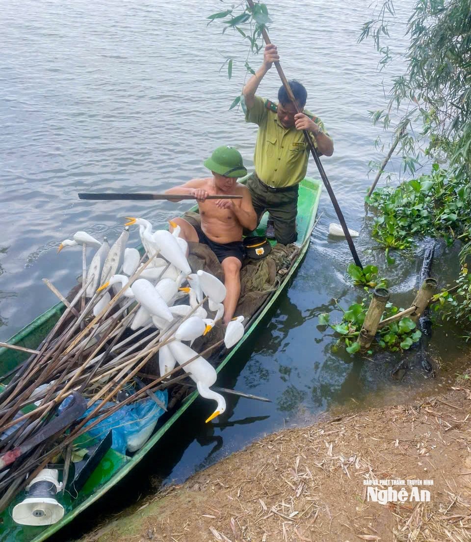Đội Kiểm lâm cơ động và PCCCR số 1 tổ chức tháo dỡ hình nộm chim mồi cùng các loại bẫy chim trời. Ảnh Nguyễn Hải Đăng