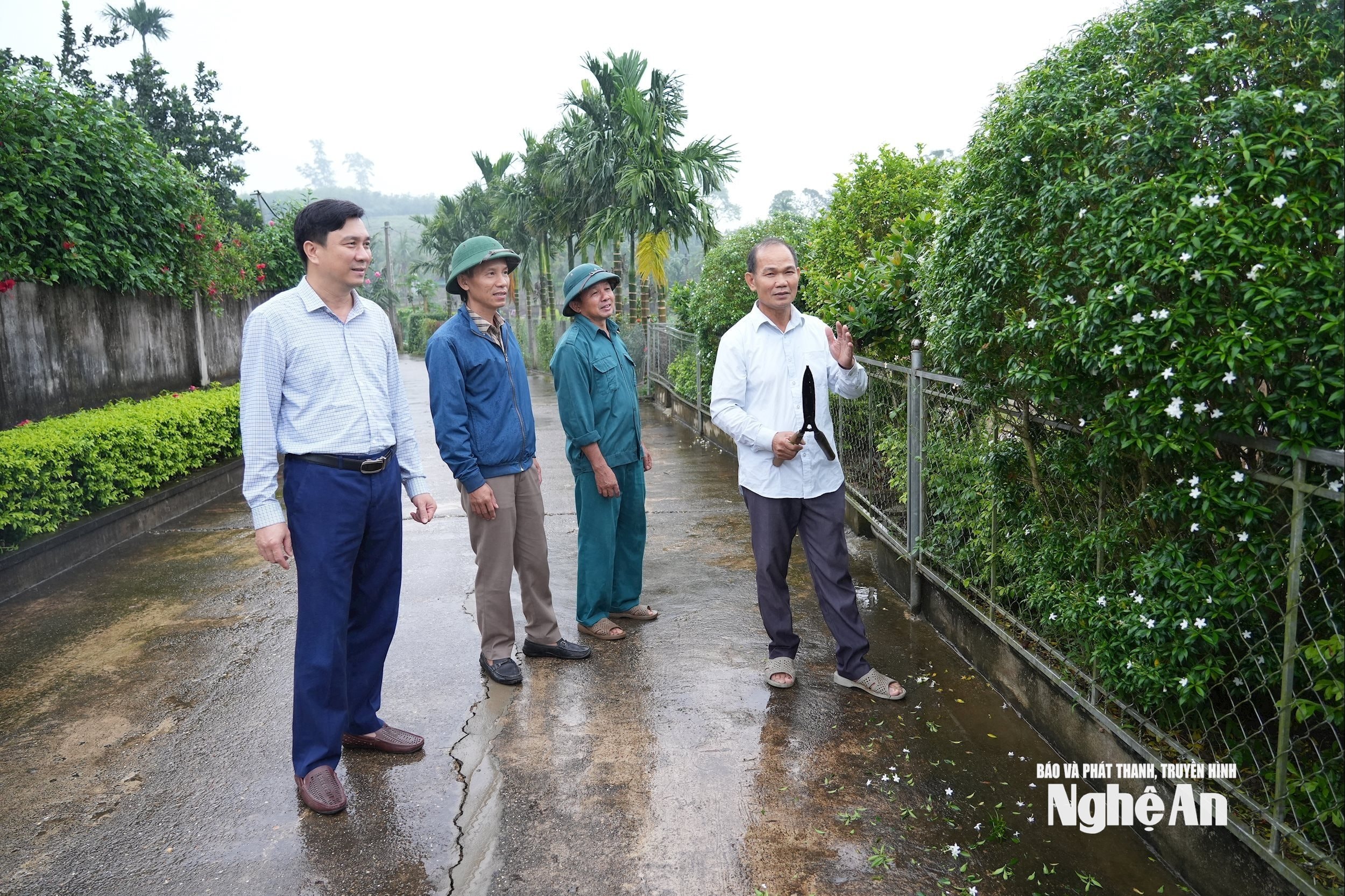 Многие дороги в деревне № 12 коммуны Аньшондонг стали «зелёными – чистыми – красивыми – светлыми – дружелюбными». Фото: Тьен Донг