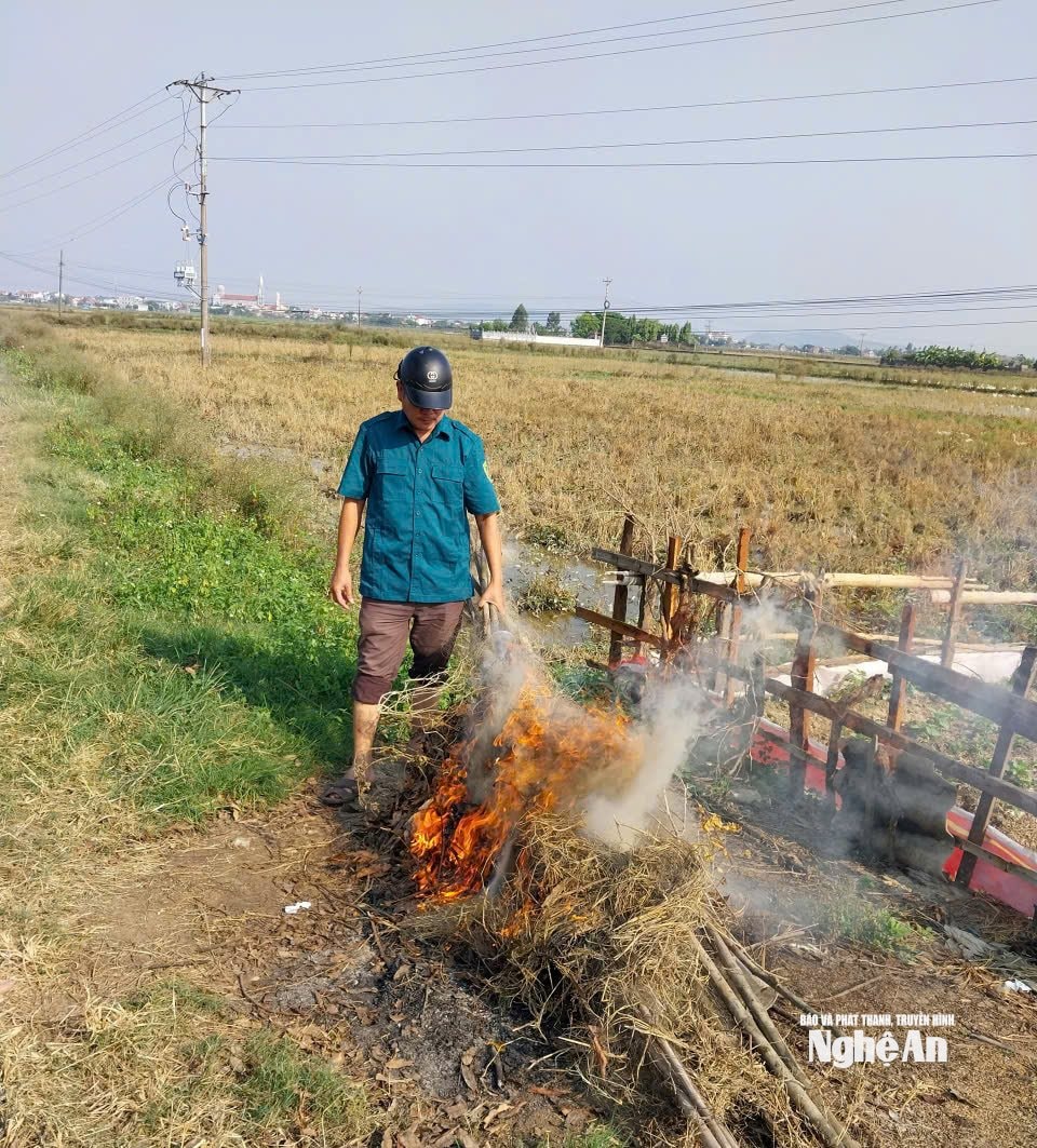 tiêu hủy lưới, bẫy chim (1)