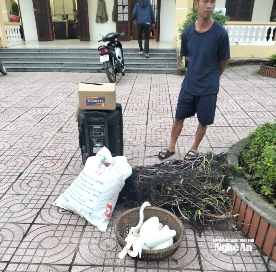 tiêu hủy lưới, bẫy chim (2)