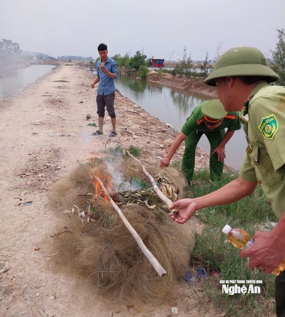 tiêu hủy lưới, bẫy chim (3)