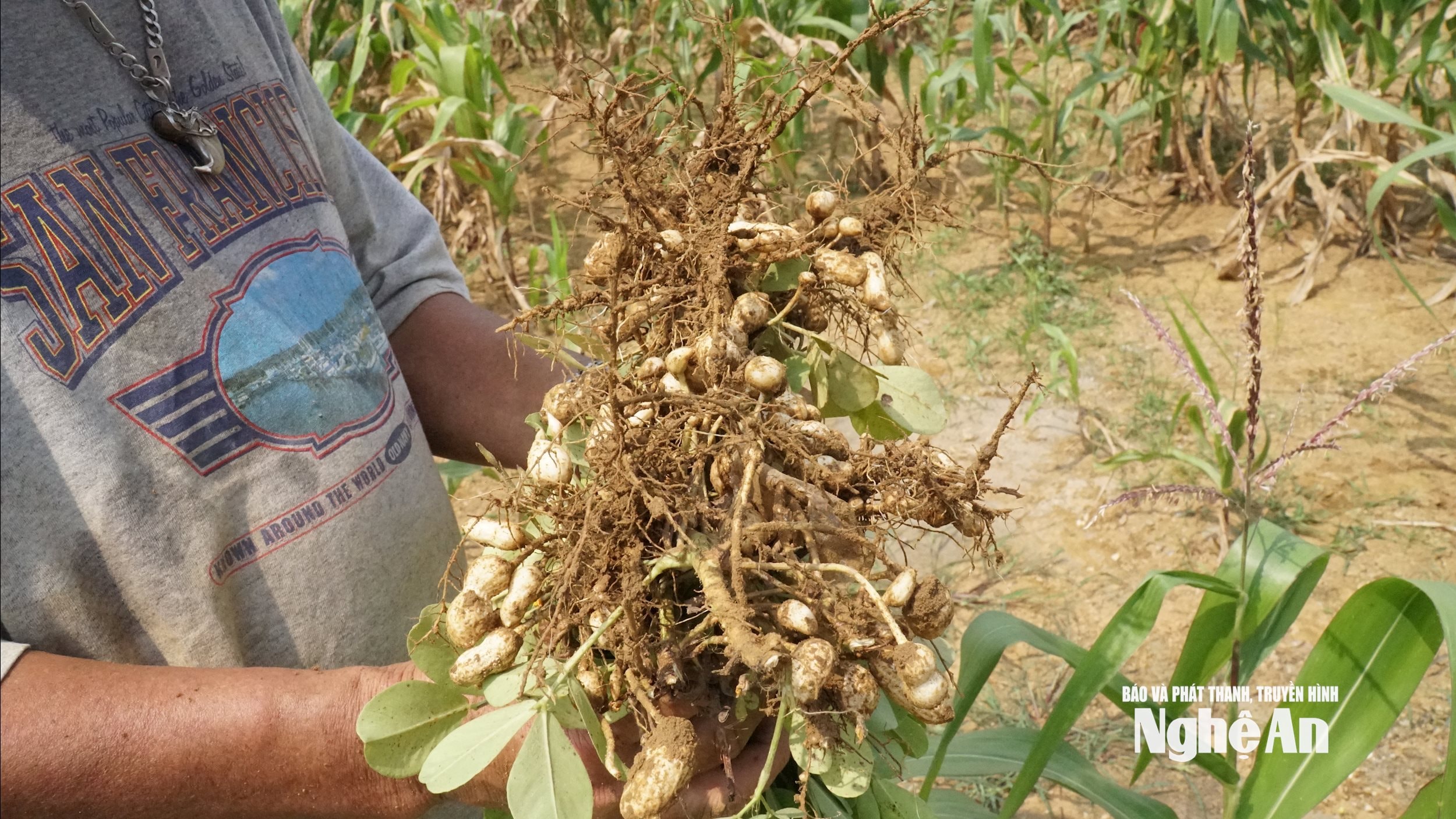 Vùng lạc xã An Châu mất mùa ănngj do thiên tai, mưa lụt