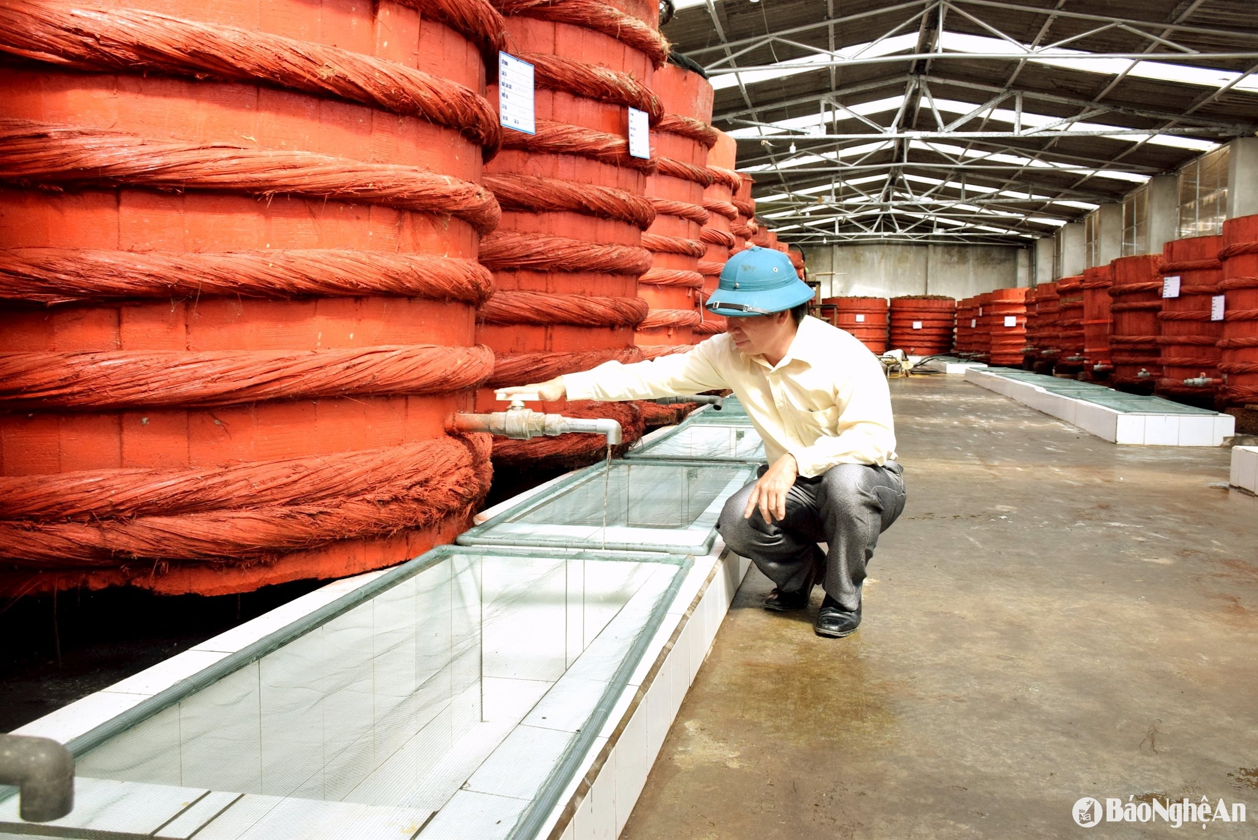 ভ্যান ফান সীফুড জয়েন্ট স্টক কোম্পানিতে (ডিয়েন চাউ) ঐতিহ্যবাহী মাছের সস প্রক্রিয়াজাতকরণ। ছবি: জুয়ান হোয়াং