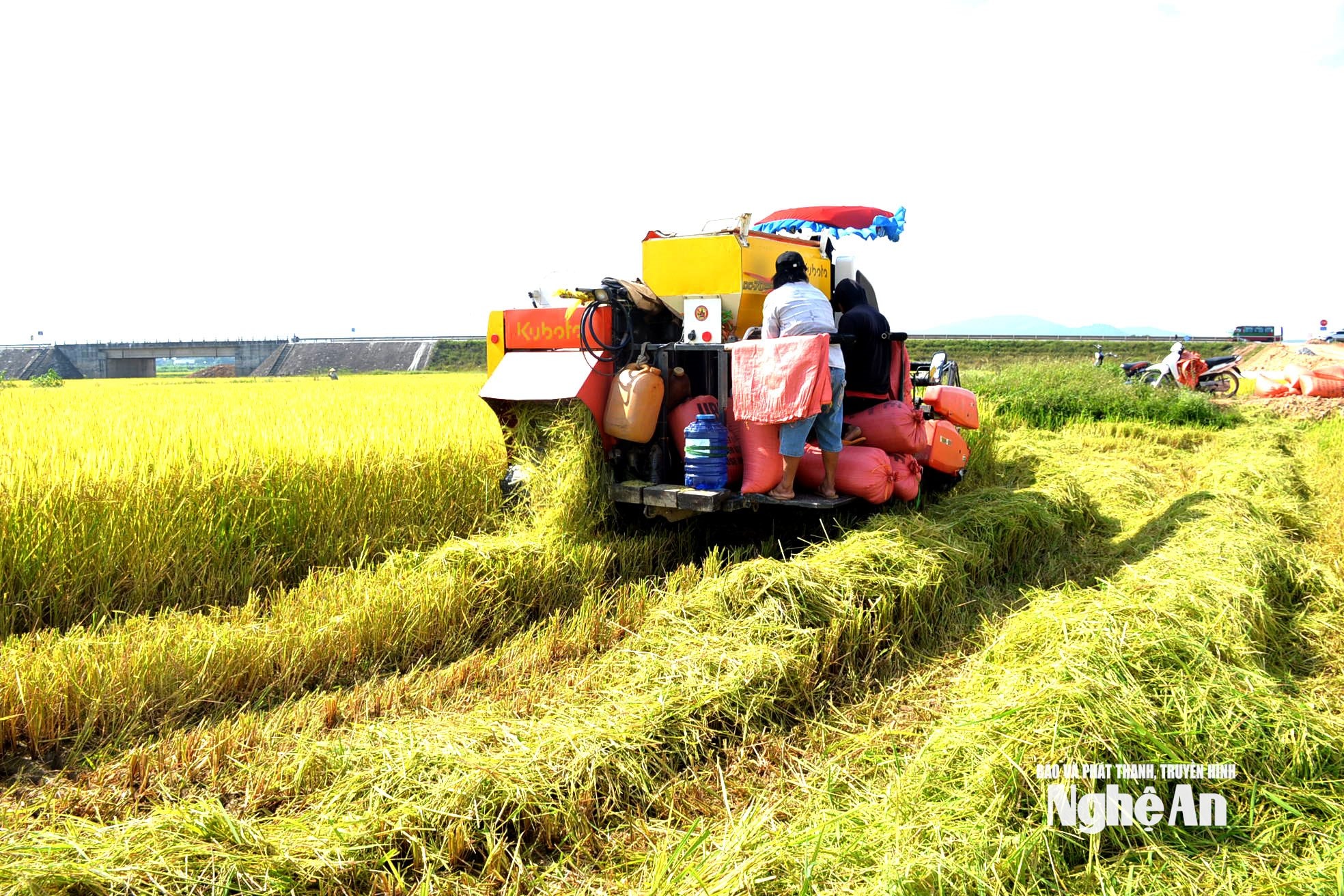 cơ giới hóa vào thu hoạch lúa. Ảnh Xuân Hoàng)