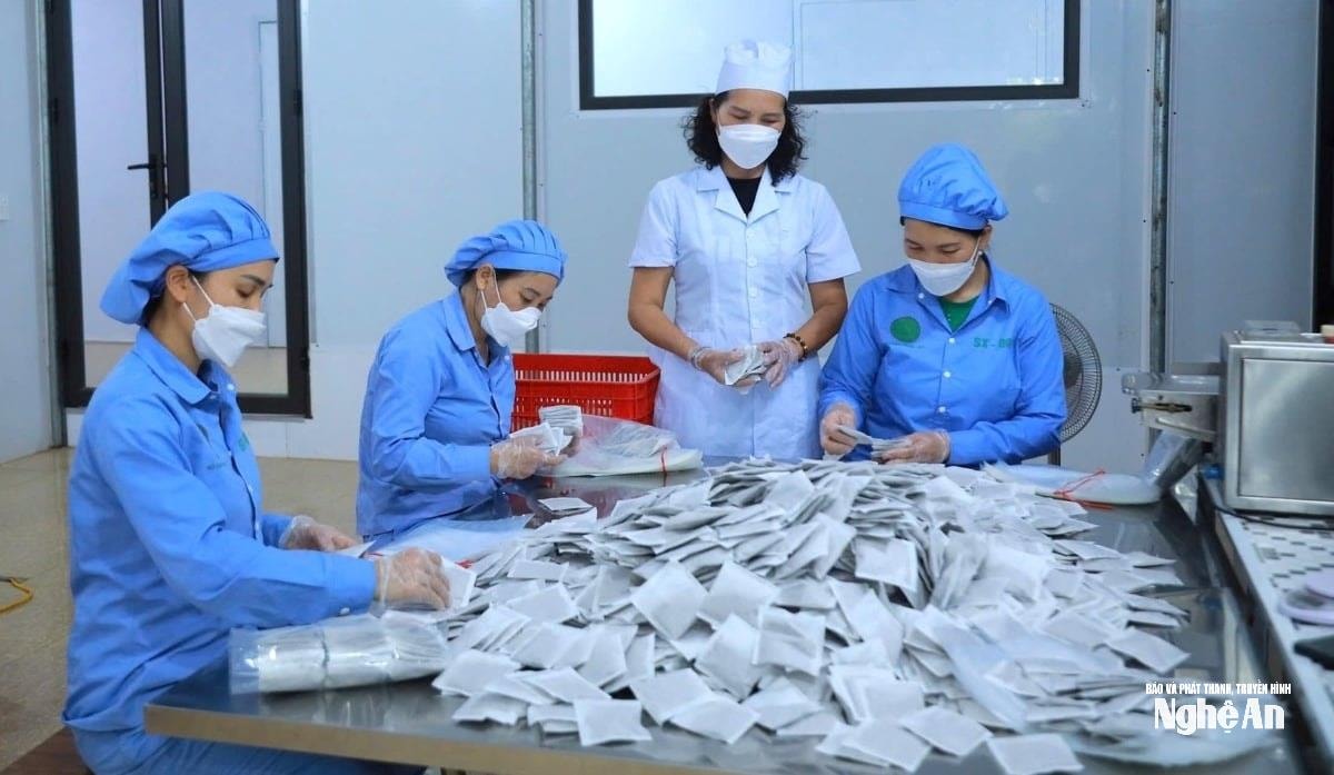 Depuis sa création il y a neuf ans, la société par actions pharmaceutique Pu Mat, initialement jeune, a connu une forte croissance. Photo : Viet Khanh.