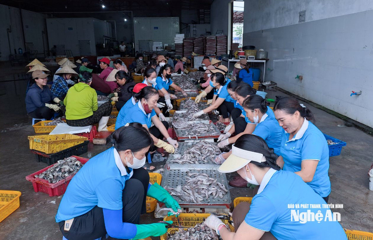  Cán bộ, hội viên phụ nữ phường Quỳnh Phương, thị xã Hoàng Mai làm công gây guỹ hỗ trợ phụ nữ và trẻ em khó khăn