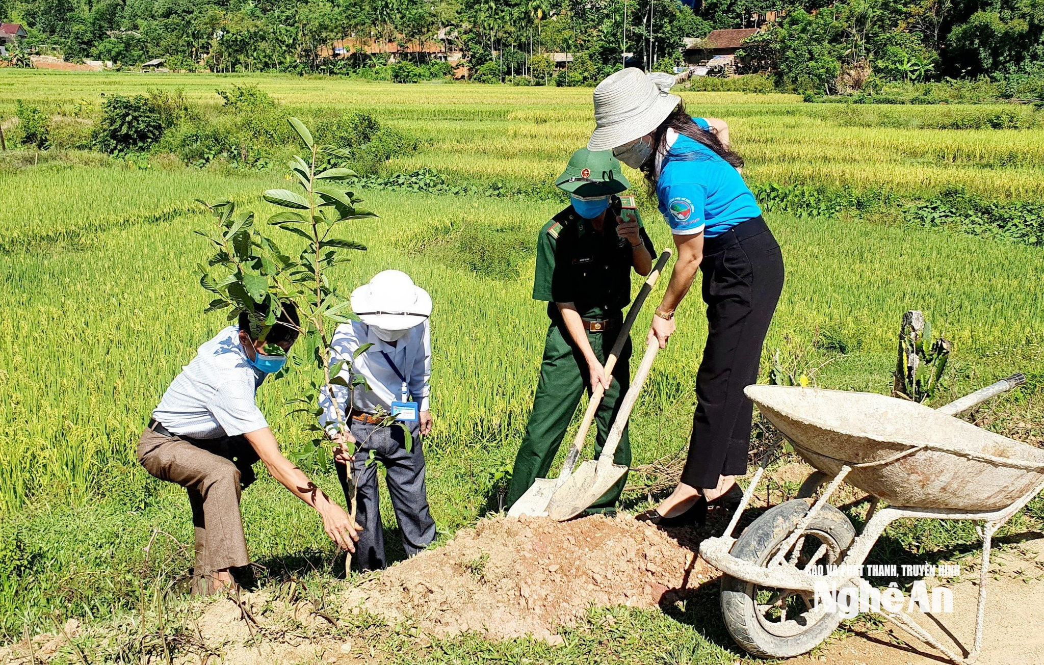 Hội LHPN tỉnh hỗ trợ trồng cây xanh tại xã Hạnh Dịch, huyện Quế Phong