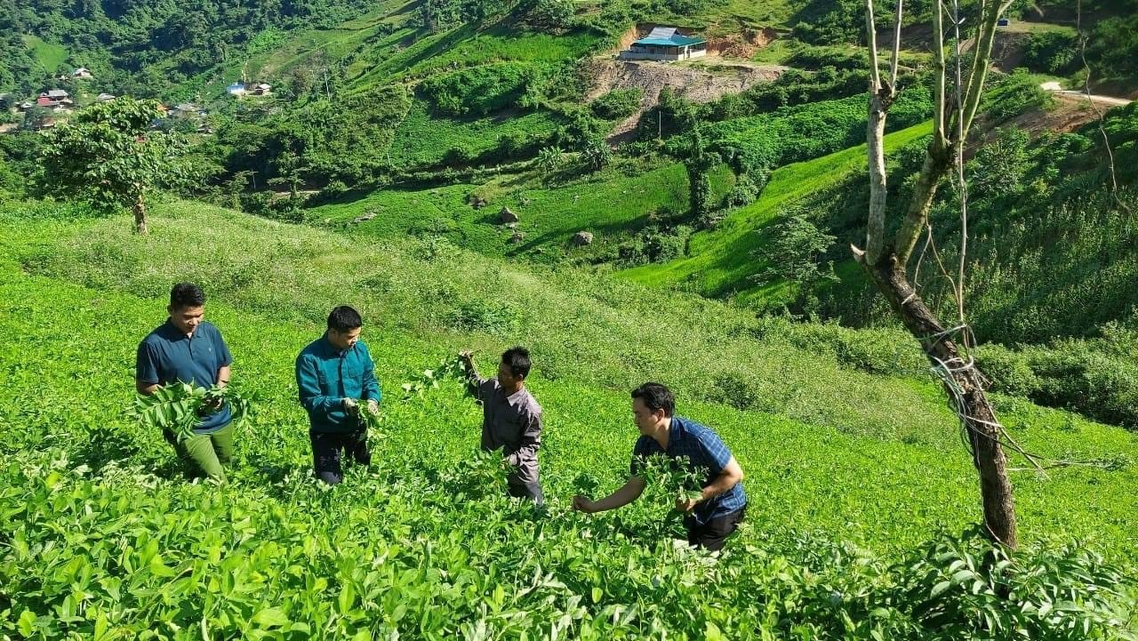 e.baonghean.vn-wp-content-uploads-2024-03-_lanh-dao-xa-nam-can-huyen-ky-son-trao-doi-voi-nguoi-dan-ban-bien-gioi-pa-ca-ve-tinh-hinh-san-xuat.jpg