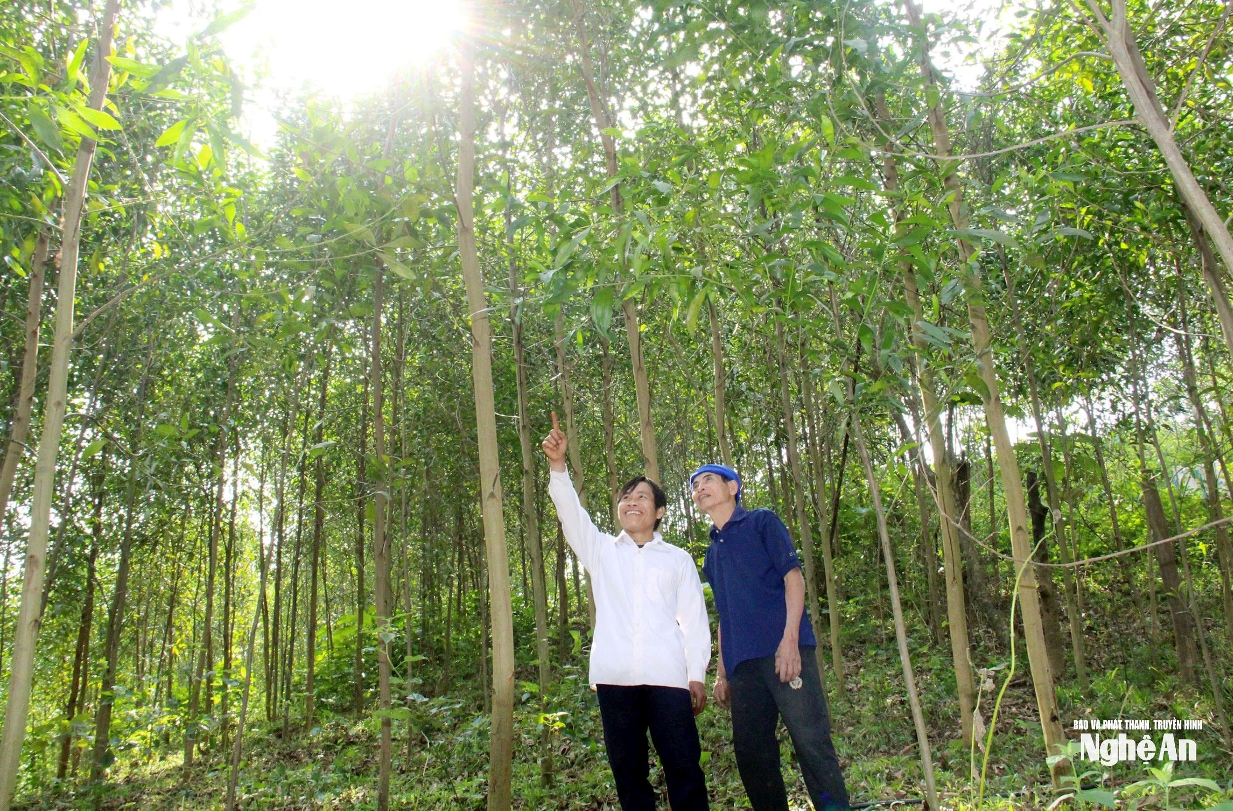 uploaded-thanhquynhbna-2023_01_22-_bna-thach-ngan-5-1490(1).jpg