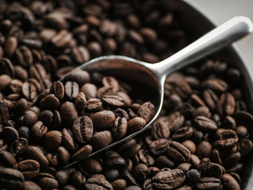 Kaffepriser i dag 25. november 2025: Liten nedgang på tvers av markedet, ned 500 VND/kg