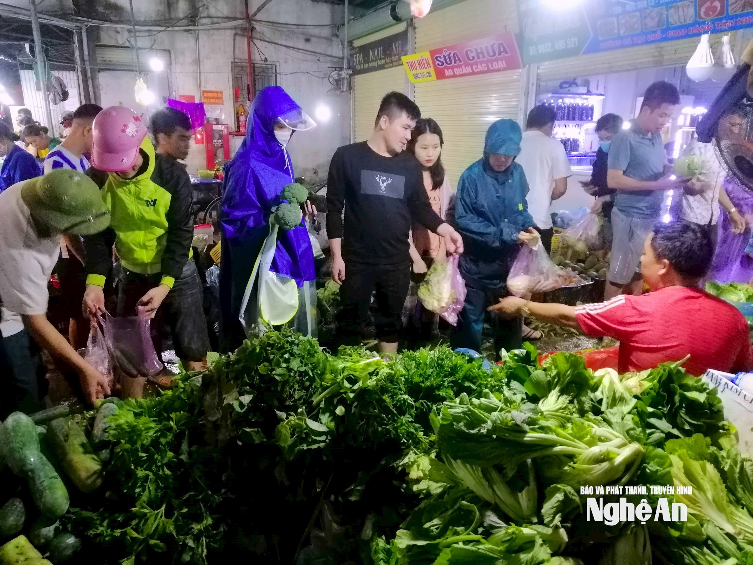បន្លែបៃតងបន្ទាប់ពីព្យុះ