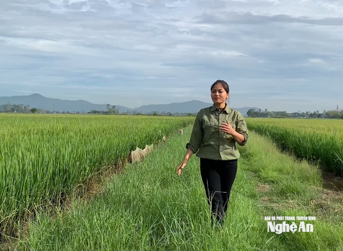 Screenshot 2025-11-25 072039