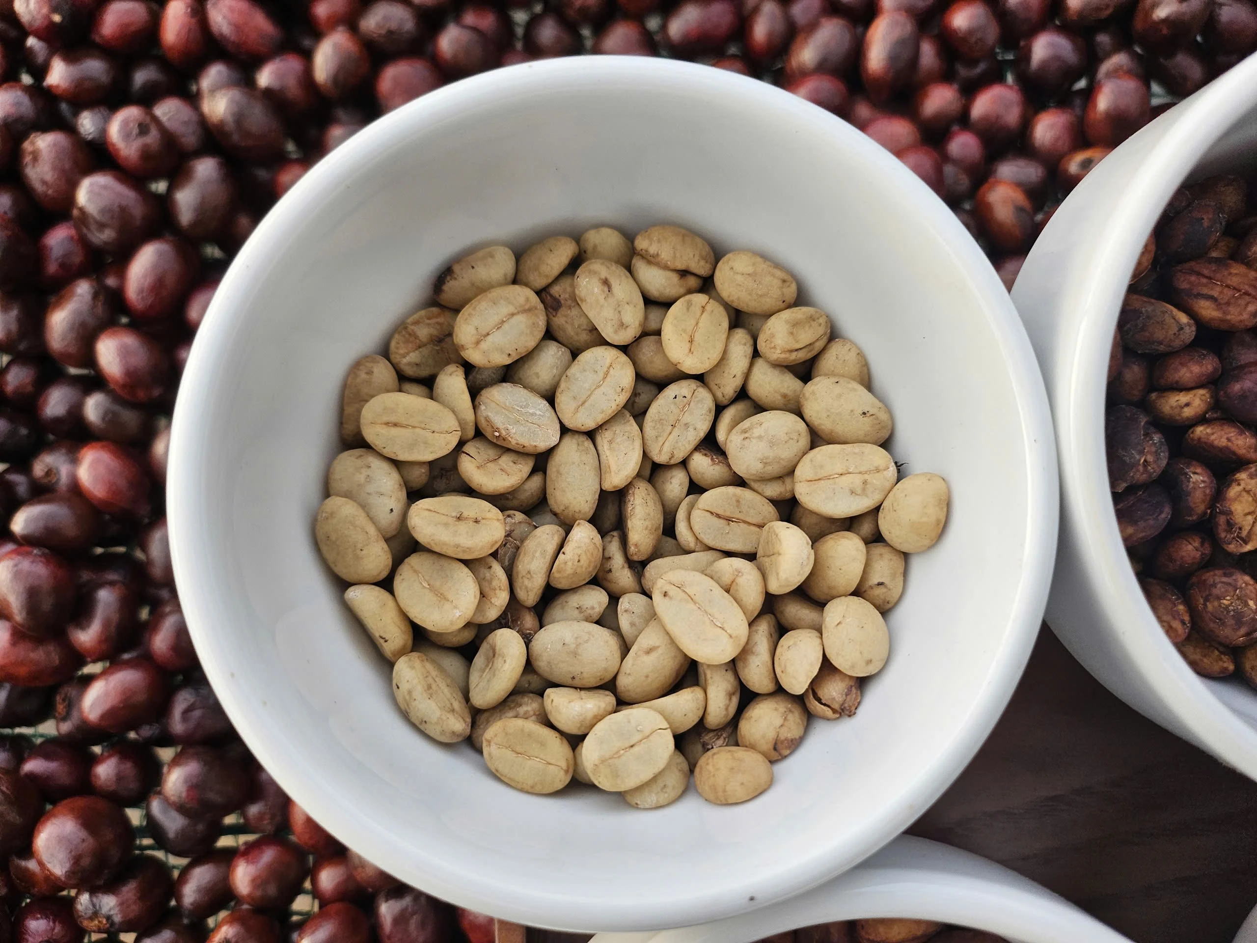 Kaffepriserna sjönk kraftigt idag, 26 november 2025, på grund av vädret.