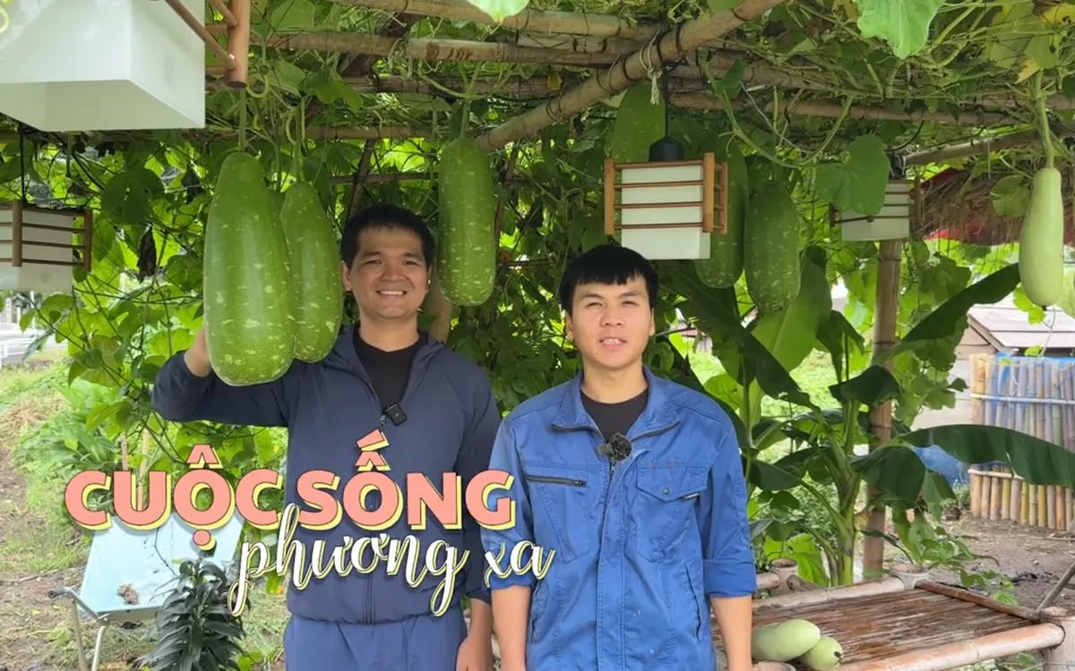 Ba chương trình mới kết nối người Việt toàn cầu trên VTV4 - Ảnh 3.