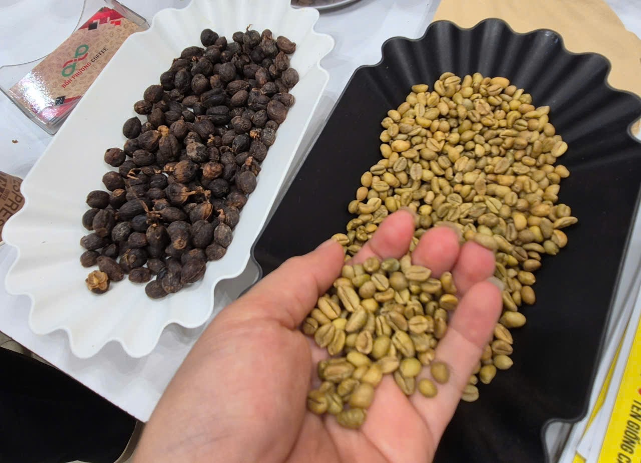 2025年11月27日現在、コーヒーの価格は供給不足により上昇を続けている。