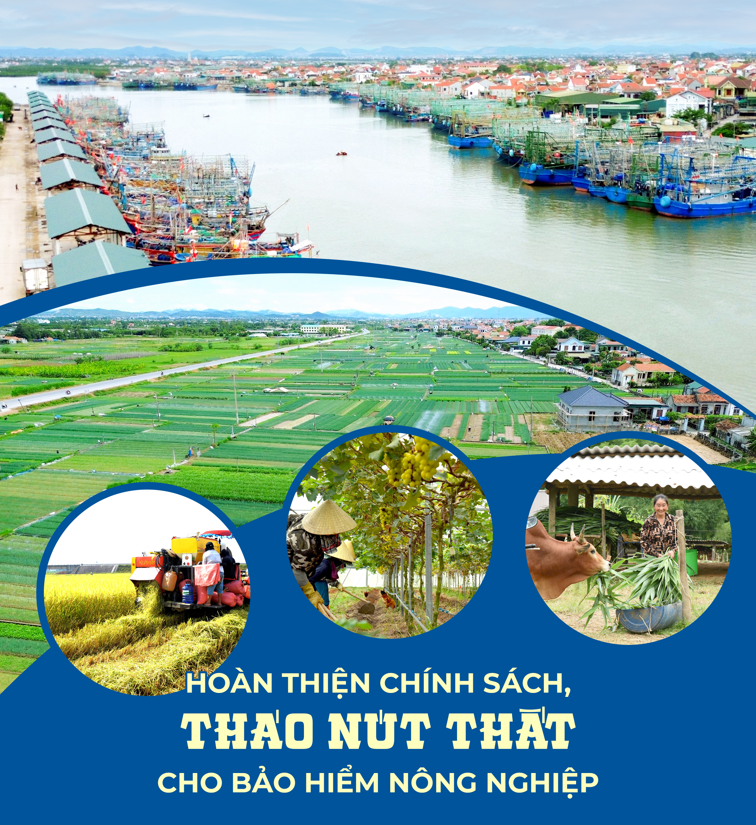 baohiemnongnghiep-cover.png